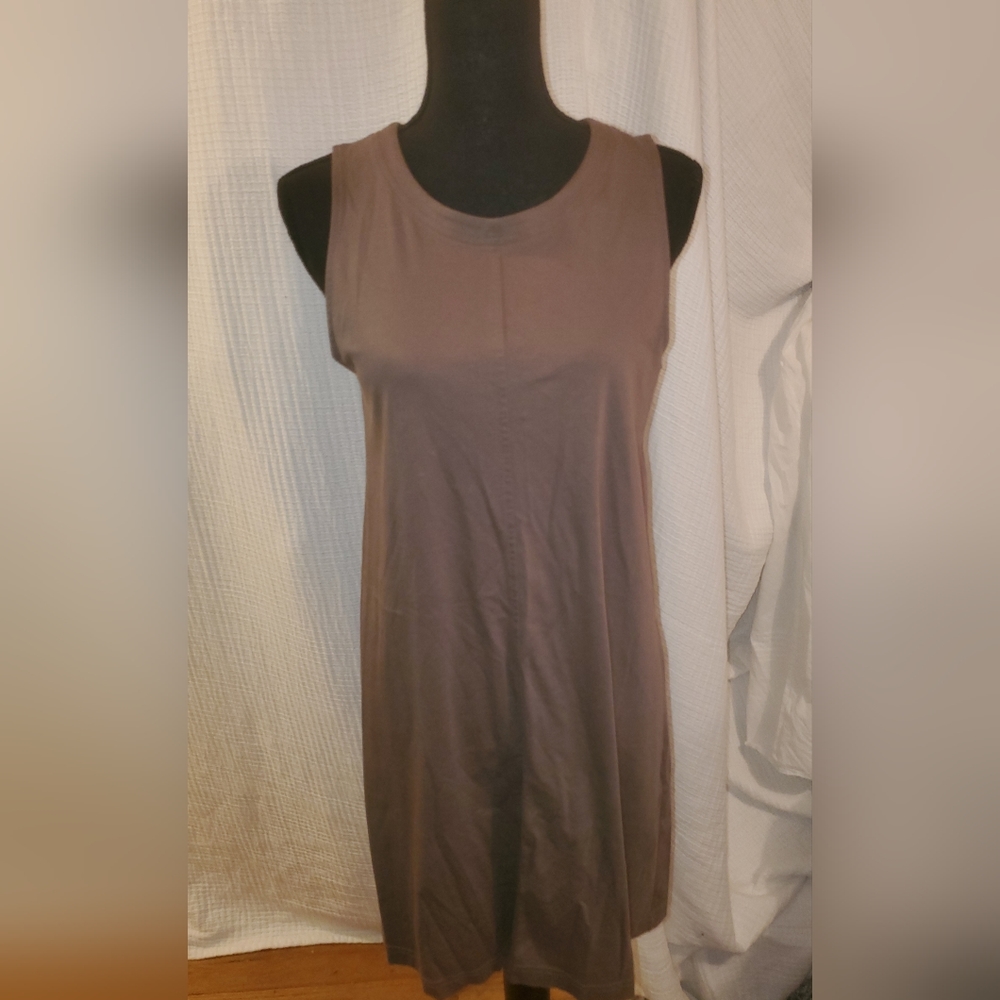 Everlane sleeveless mini dress